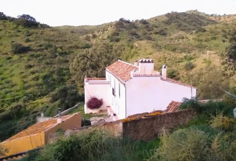 2480b4c8-0653-4a6f-acb4-3e874f29d27f