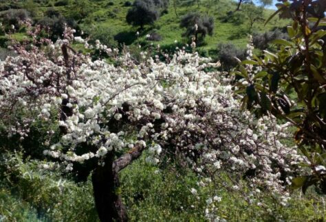 rincones-con-encanto-02