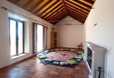 sala-chimeneas-1-768x433