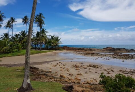 msedge_2025-04-02_12-38-37